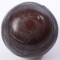 X046369