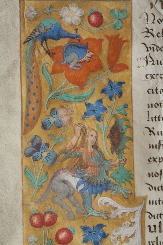 Kopie van een bul van paus Julius II Brugge, 1513