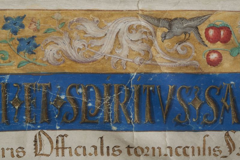Kopie van een bul van paus Julius II Brugge, 1513