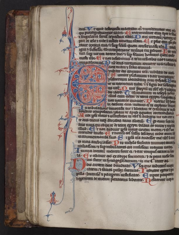 Brevier voor het Cistenciënzerklooster van Spermalie (Sijsele)