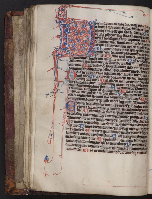 Brevier voor het Cistenciënzerklooster van Spermalie (Sijsele)