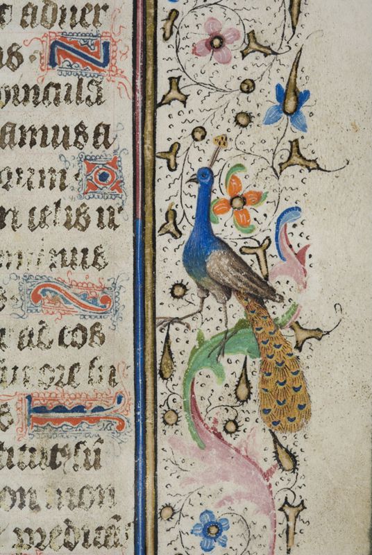 Bréviaire à l'usage de l'Abbaye Saint-Adrien de Grammont (Geraardsbergen), vol. I
