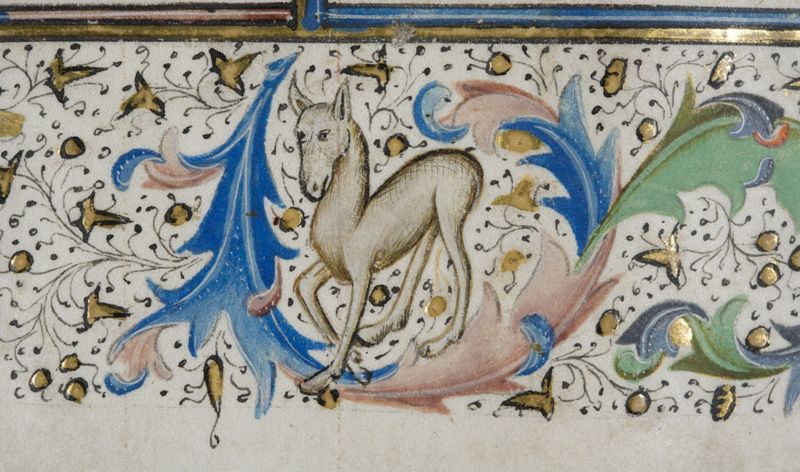 Bréviaire à l'usage de l'Abbaye Saint-Adrien de Grammont (Geraardsbergen), vol. I