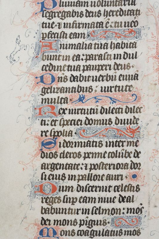 Bréviaire à l'usage de l'Abbaye Saint-Adrien de Grammont (Geraardsbergen), vol. I