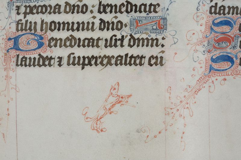 Bréviaire à l'usage de l'Abbaye Saint-Adrien de Grammont (Geraardsbergen), vol. I