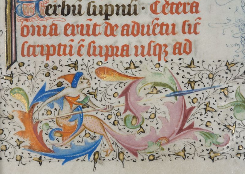 Bréviaire à l'usage de l'Abbaye Saint-Adrien de Grammont (Geraardsbergen), vol. I