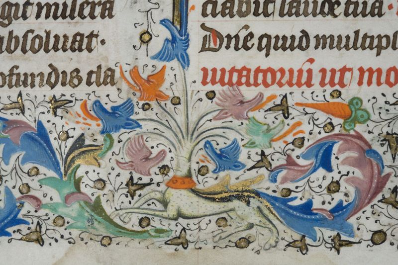 Bréviaire à l'usage de l'Abbaye Saint-Adrien de Grammont (Geraardsbergen), vol. I