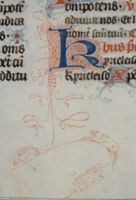 X053056