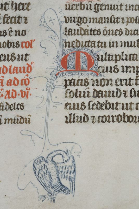 Bréviaire à l'usage de l'Abbaye Saint-Adrien de Grammont (Geraardsbergen), vol. I