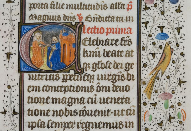 Bréviaire à l'usage de l'Abbaye Saint-Adrien de Grammont (Geraardsbergen), vol. 2