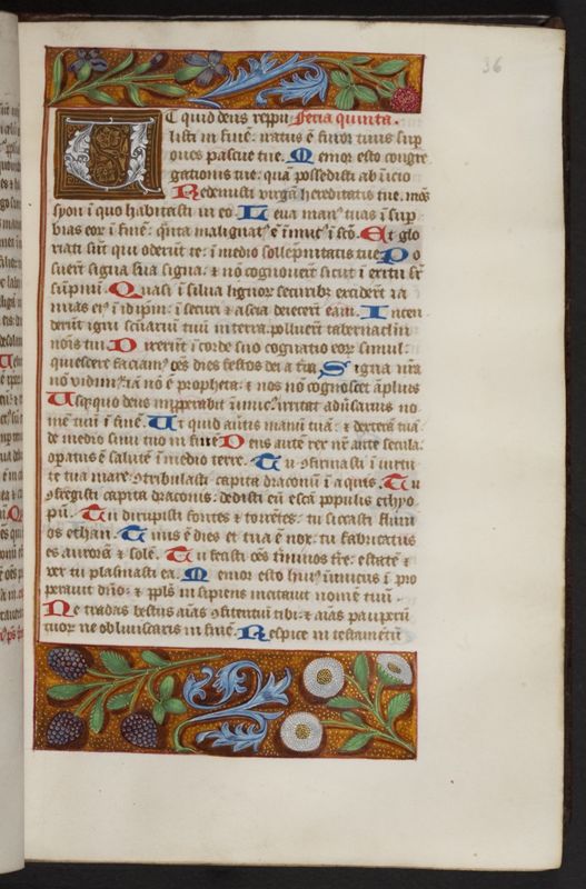 Cisterciënzer brevier van de Duinenabdij (zomerdeel)