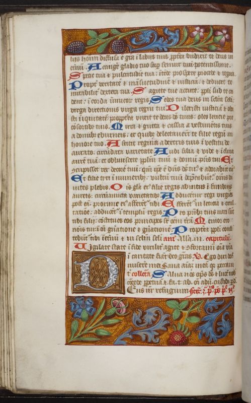 Cisterciënzer brevier van de Duinenabdij (zomerdeel)
