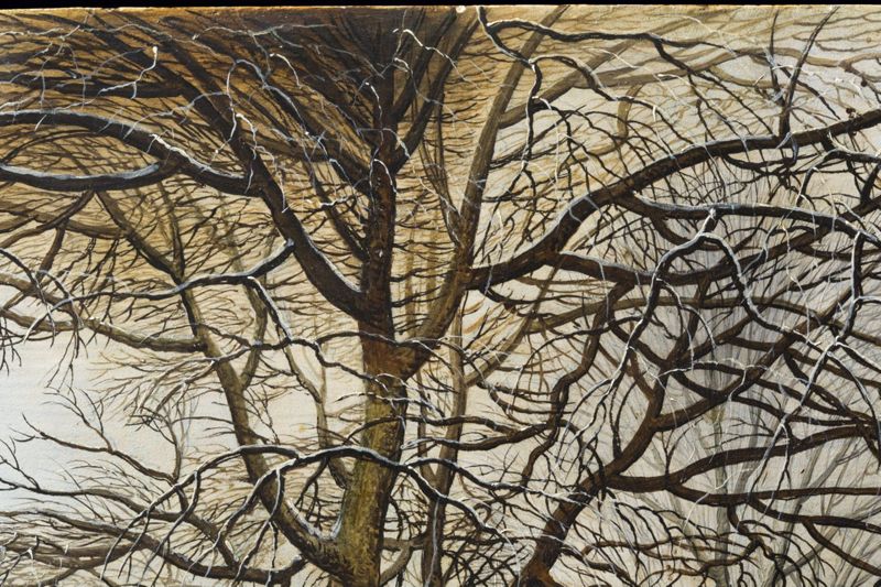 Paysage hivernal avec trappe aux oiseaux