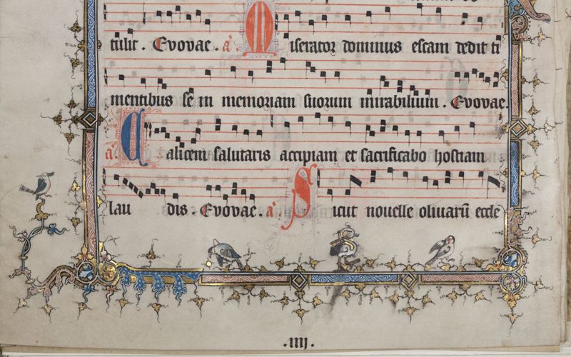 Antifonaria (12 losse bladen gebundeld)