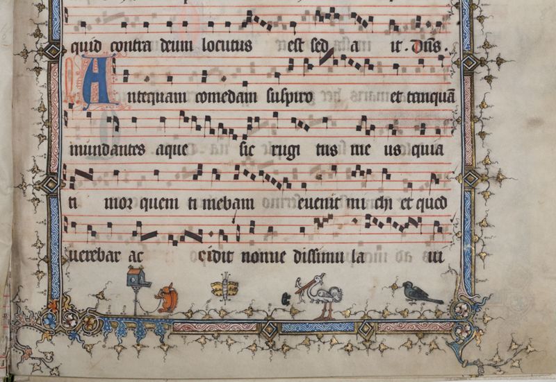 Antifonaria (12 losse bladen gebundeld)