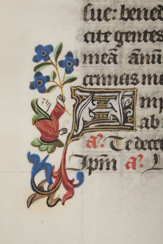 Gebedenboek en brevier (franciscaans gebruik)