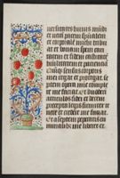 X062313