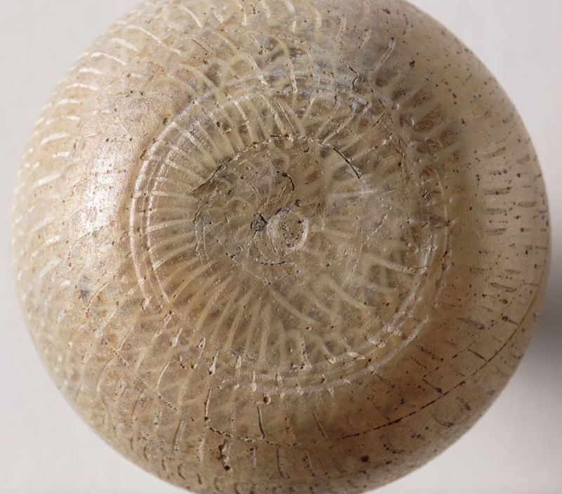 balsamaire / Musée du Verre[Charleroi]