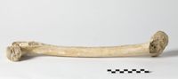 X073194