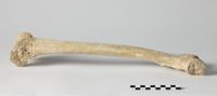 X073195