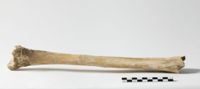X073196