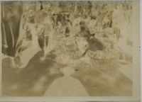 X076894