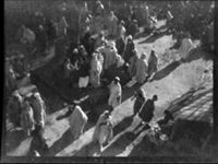 X077033