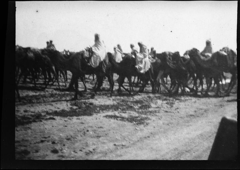 La caravane des Chaouïas (Batna)