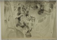 X077264