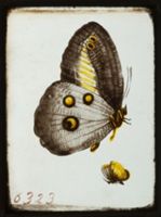 X078913