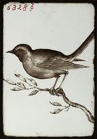 X078918