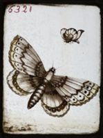 X078920