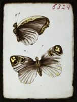X078921