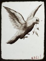 X078938