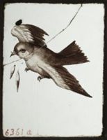 X078939