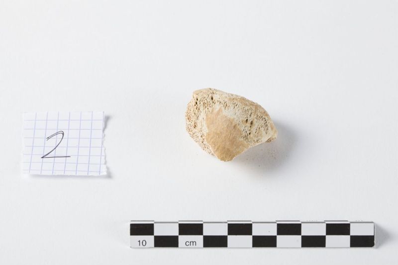 Reliekschrijn van de Heilige Odilia van Keulen