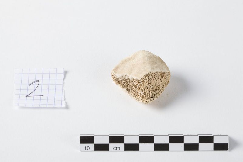 Reliekschrijn van de Heilige Odilia van Keulen