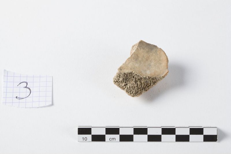 Reliekschrijn van de Heilige Odilia van Keulen