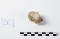 X093079