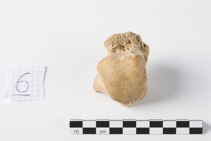 Reliekschrijn van de Heilige Odilia van Keulen