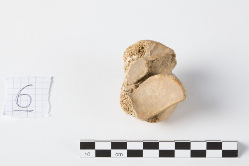 Reliekschrijn van de Heilige Odilia van Keulen