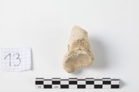 X093110