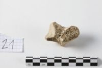 X093129