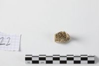 X093131