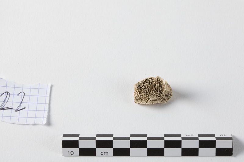 Reliekschrijn van de Heilige Odilia van Keulen