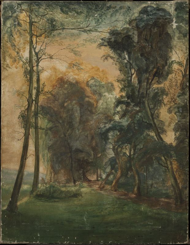 Bois de la Cambre