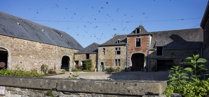 Ferme-château de Grüne