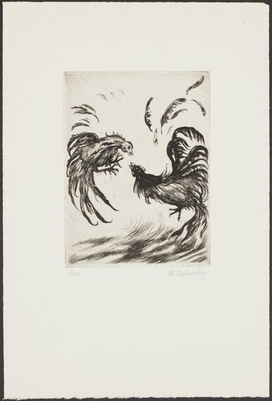 Combat de coqs