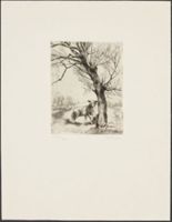 X113157