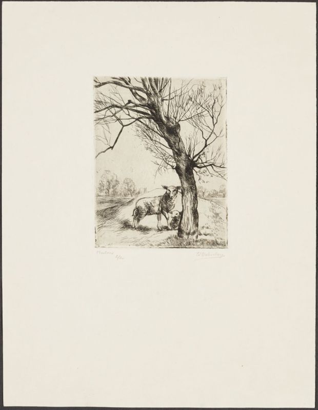 Paysage avec moutons